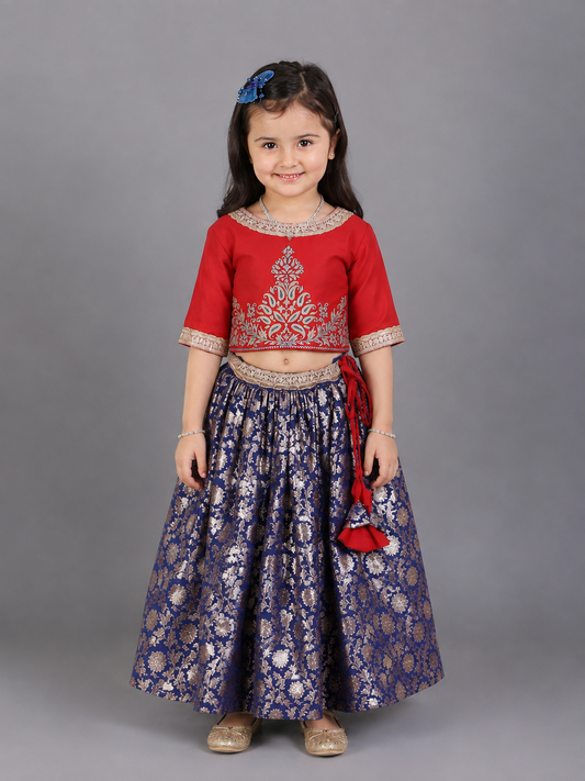 Red and Blue Zari embroidery Lehnga set