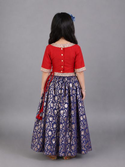 Red and Blue Zari embroidery Lehnga set
