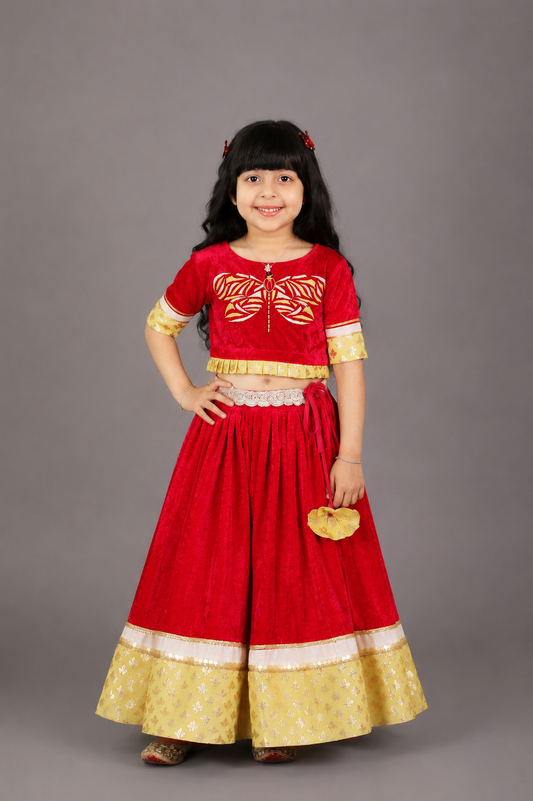 Pink Velvet Embroidered Blouse with Lehnga