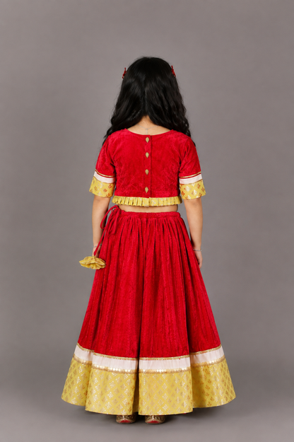 Pink Velvet Embroidered Blouse with Lehnga