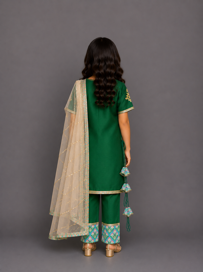 Color blocking green A-line kurta set