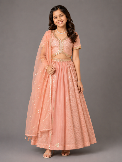 Peach Organza Lehnga Set