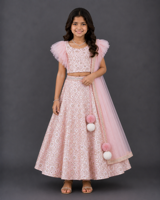 Baby Pink Heavy  Embroidery  Lehnga set with Dupatta