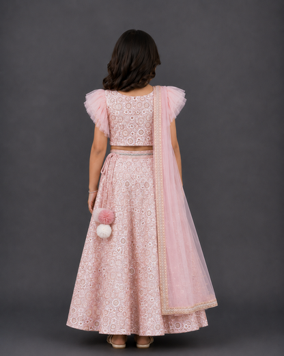 Baby Pink Heavy  Embroidery  Lehnga set with Dupatta