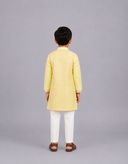 Lime Yellow  Multi Zari Panelled kurta Pyjama