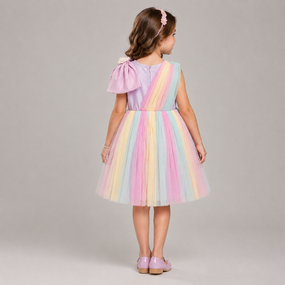 Multicolor Net flower dress