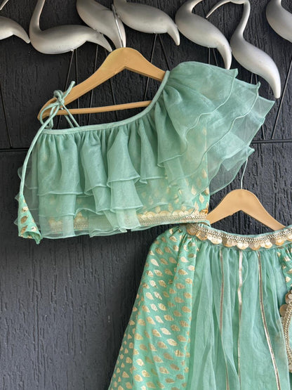 One off shoulder Pastel Green blouse  chanderi Lehnga(MAASI KI SHAADI)