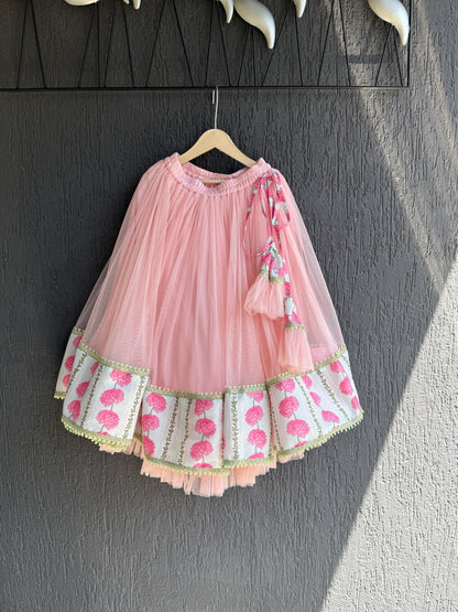 Blue Pink Carnation Floral Lehenga set