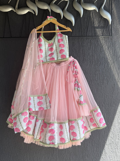 Blue Pink Carnation Floral Lehenga set