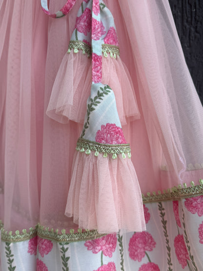 Blue Pink Carnation Floral Lehenga set