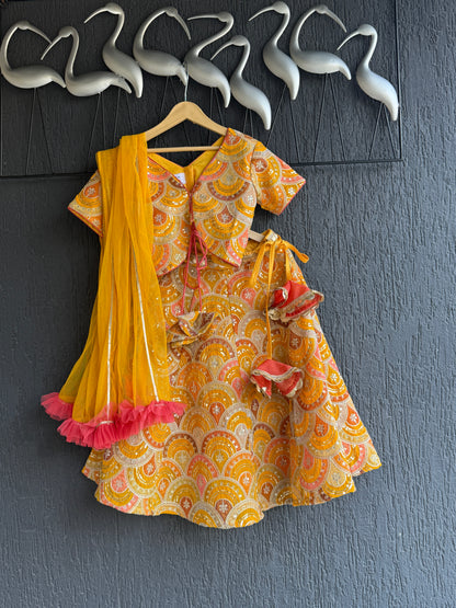 Mustard yellow  Embroidery lehenga  set