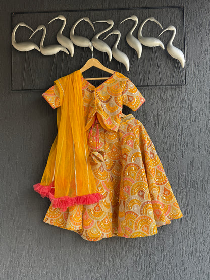 Mustard yellow  Embroidery lehenga  set