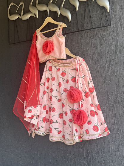 Baby Pink Rose Print 3D floral lehenga set