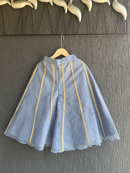 Powder Blue Embrodried Crop Top Pallazo Set