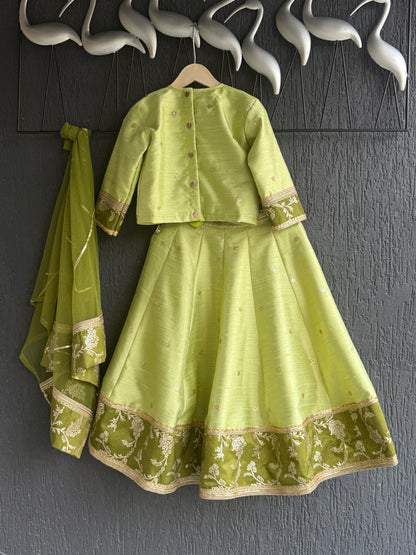 Green silk embroidery lehnga set