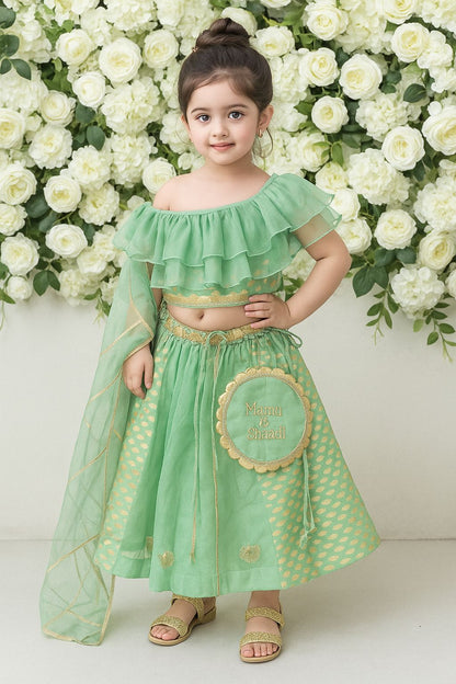 One off shoulder Pastel Green blouse  chanderi Lehnga(MAASI KI SHAADI)